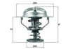 BEHR TX 178 78D Thermostat, coolant